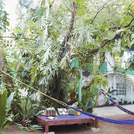 Casa Santaella Otel Puerto Escondido  Dış mekan fotoğraf