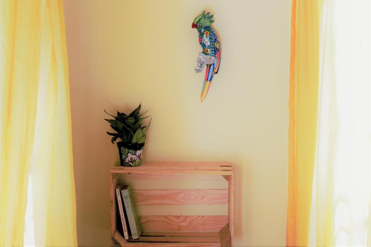 Casa Santaella Otel Puerto Escondido  Dış mekan fotoğraf